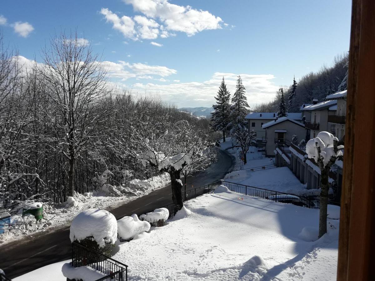 B&B La Tana Dei Ricci Sestola Dış mekan fotoğraf